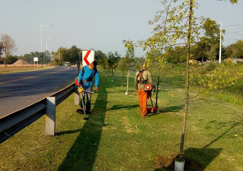 OBRAS Y SERVICIOS EN MERLO NORTE