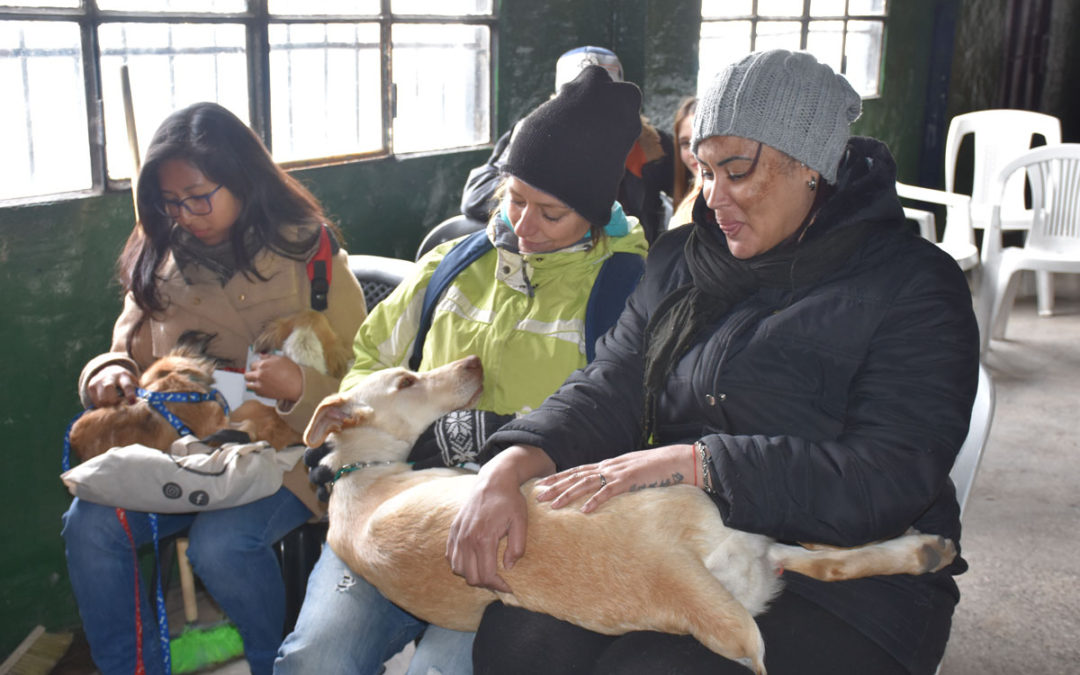 CAMPAÑA DE CASTRACIÓN GRATUITA EN BARRIO POMPEYA