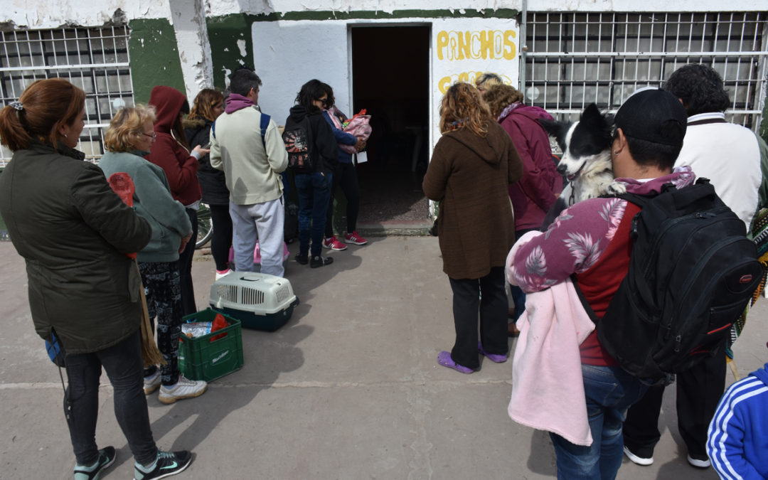 CASTRACIONES GRATUITAS EN LIBERTAD