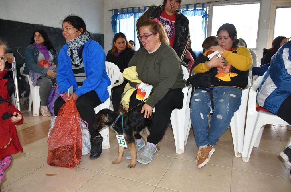 CASTRACIONES EN RÍO ALEGRE