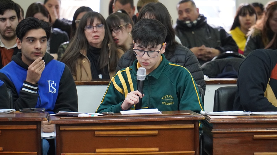 JORNADA DISTRITAL DEL PARLAMENTO JUVENIL DEL MERCOSUR